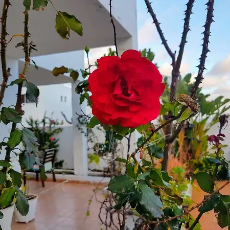 Chelada 2 Holiday home *