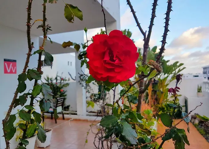 Chelada 2 Nyaraló *